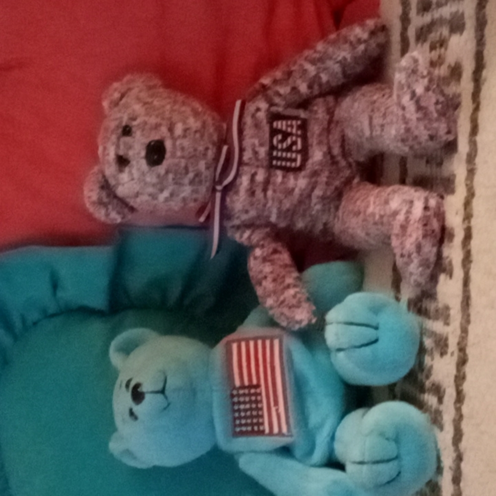 Bundle of 2 Little Patriotic Beanie Bears/USA/Red,White& Blue Looking for a 🏡